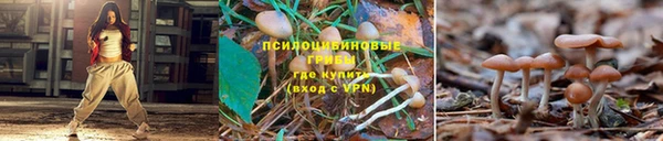 гашишное масло Бугульма
