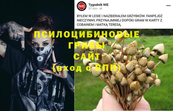 гашишное масло Бугульма