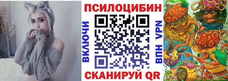 Галлюциногенные грибы Psilocybe  Мценск 